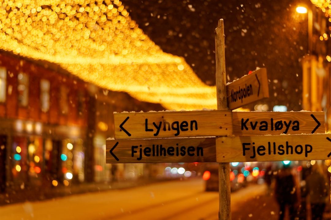 Julemarkeder: En Magisk Opplevelse i Desember